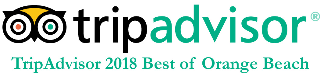 Tripadvisor.com featured Southern Grind Coffee House